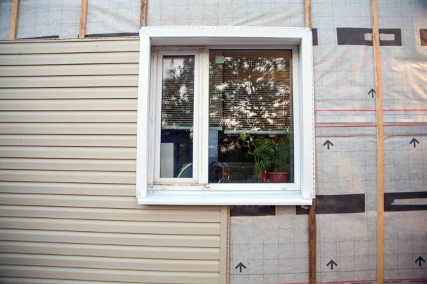 Best Insulated Siding Installation  in USA